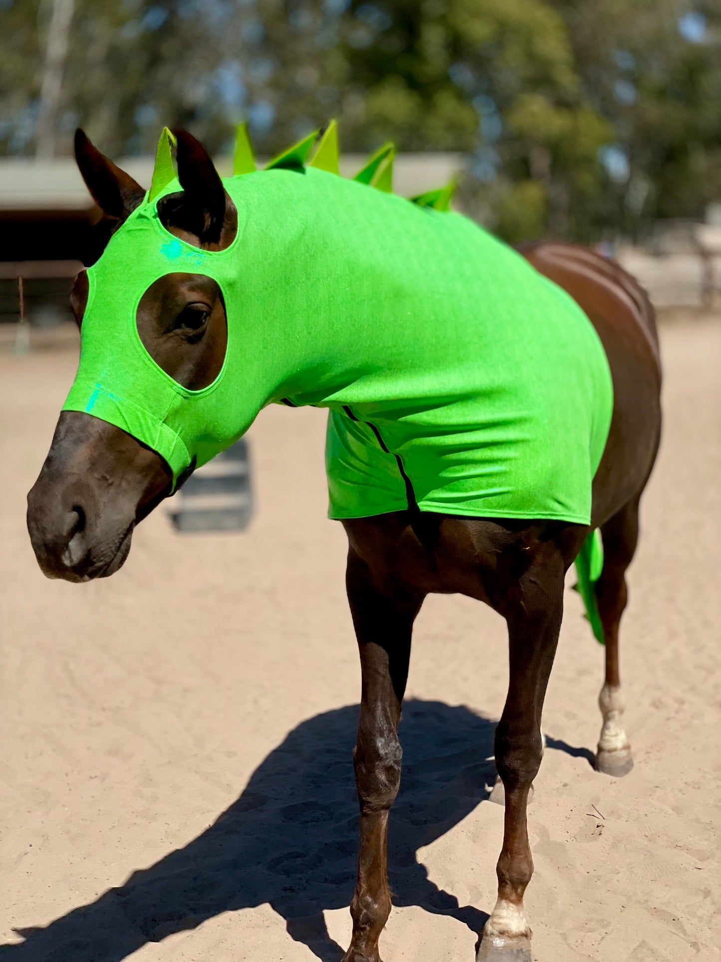 Green Dragon Horse Costume with Matching Dragon Tail