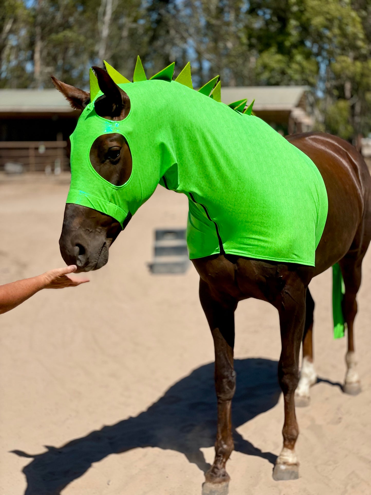 Green Dragon Horse Costume with Matching Dragon Tail