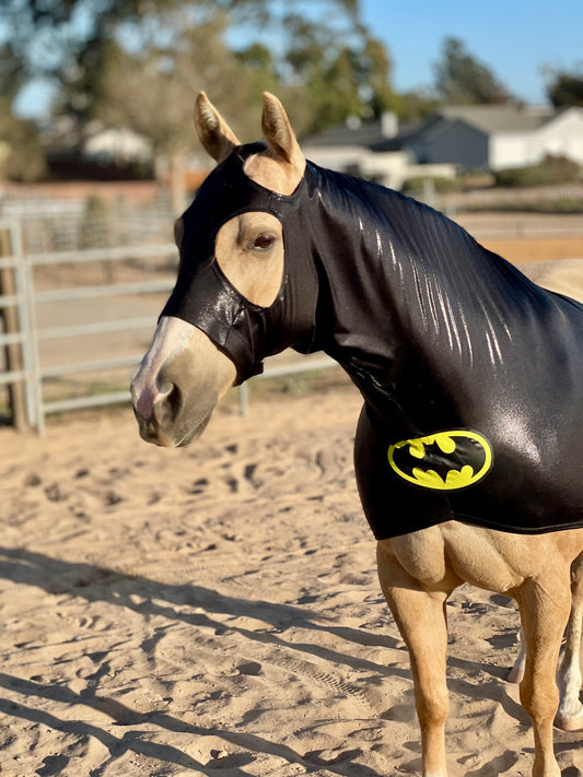 Batman Horse Costume