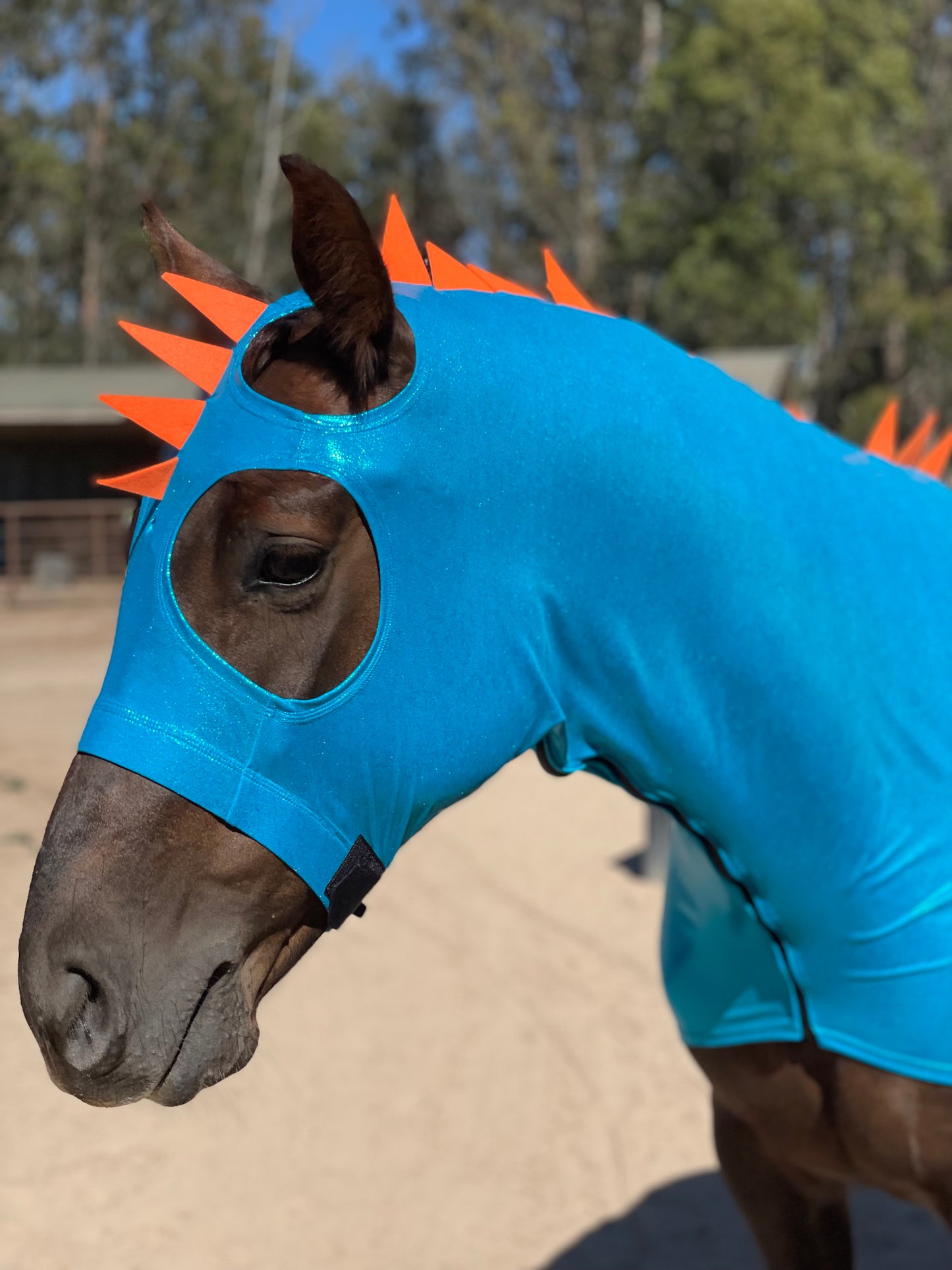 Blue Dragon Horse Costume with Matching Dragon Tail