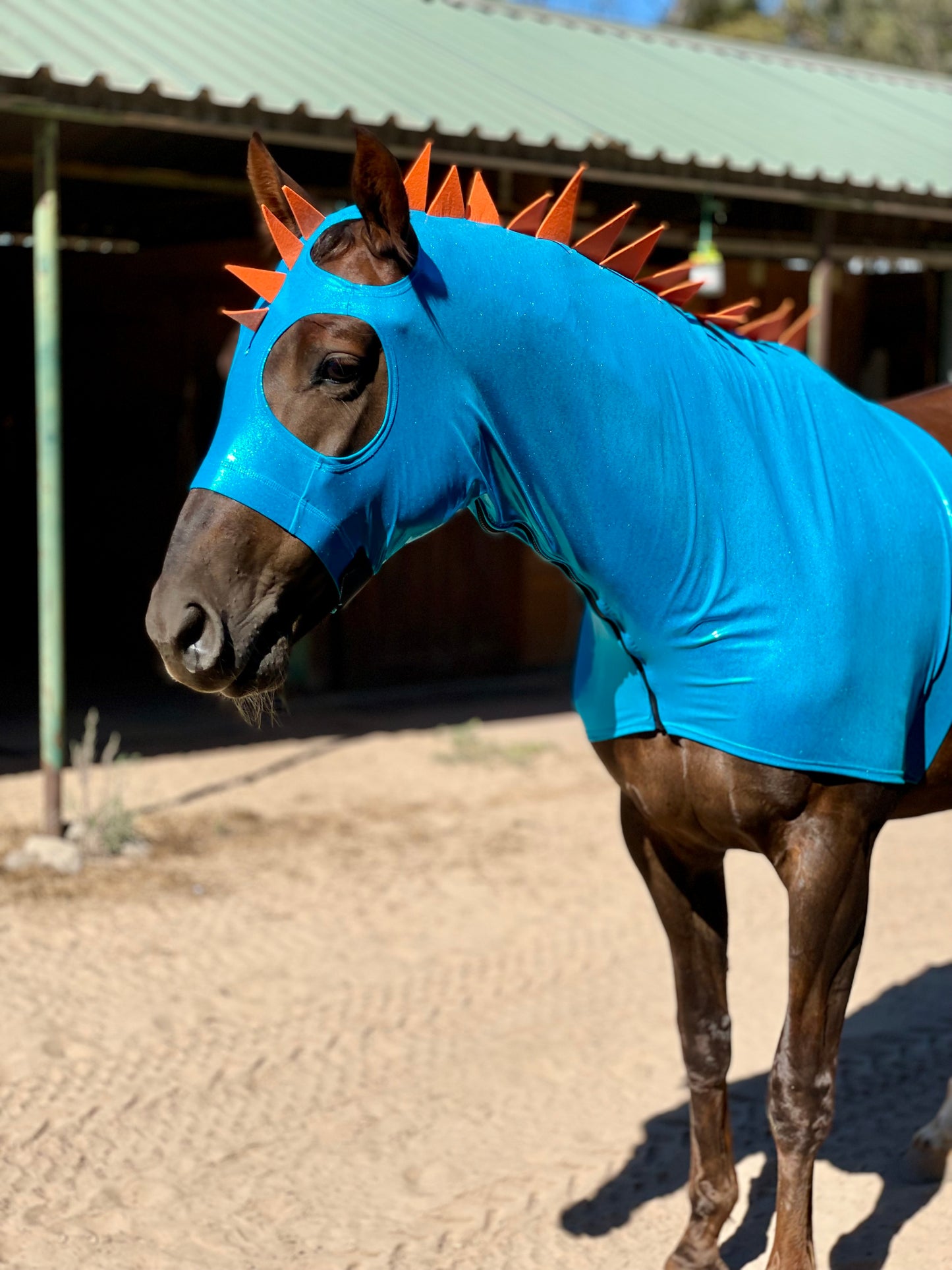 Blue Dragon Horse Costume with Matching Dragon Tail