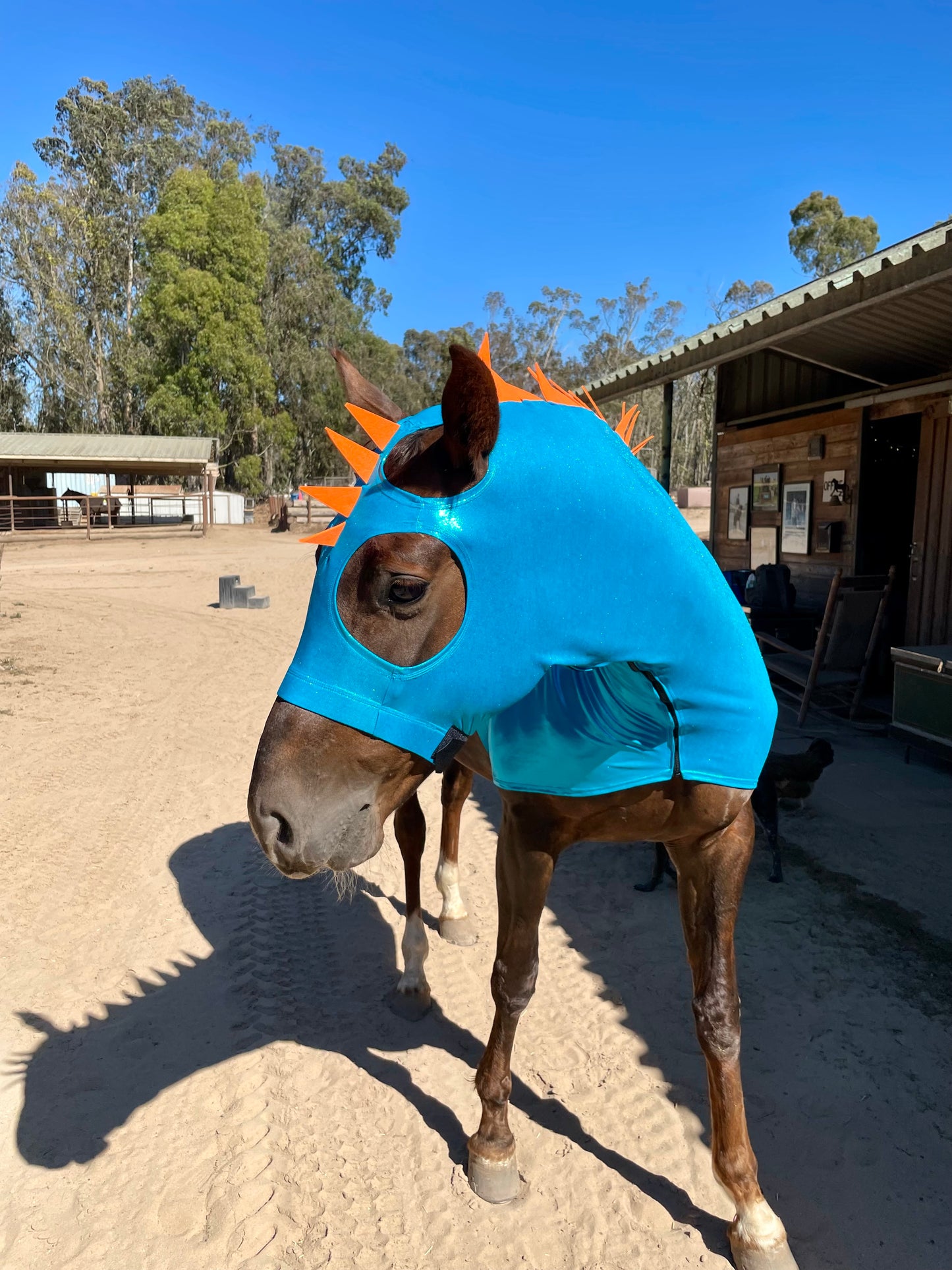 Blue Dragon Horse Costume with Matching Dragon Tail