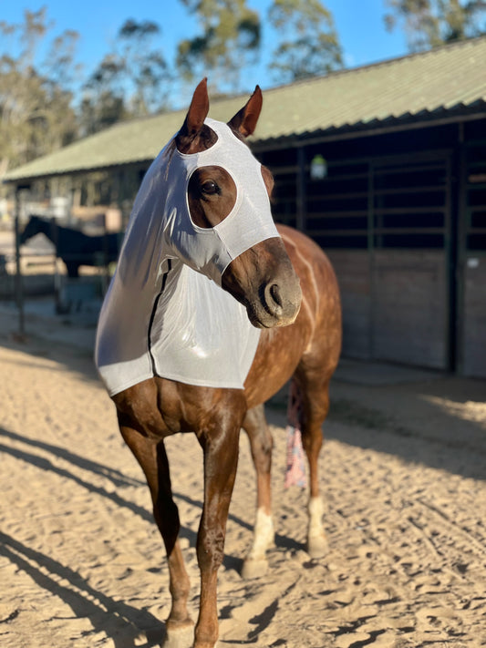 Metallic Silver Sleazy Hood