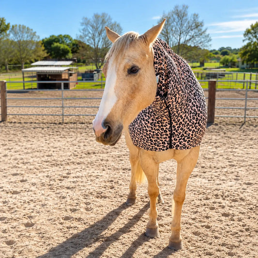 Horse wearing a leopard print faceless sleazy hood in an outdoor setting