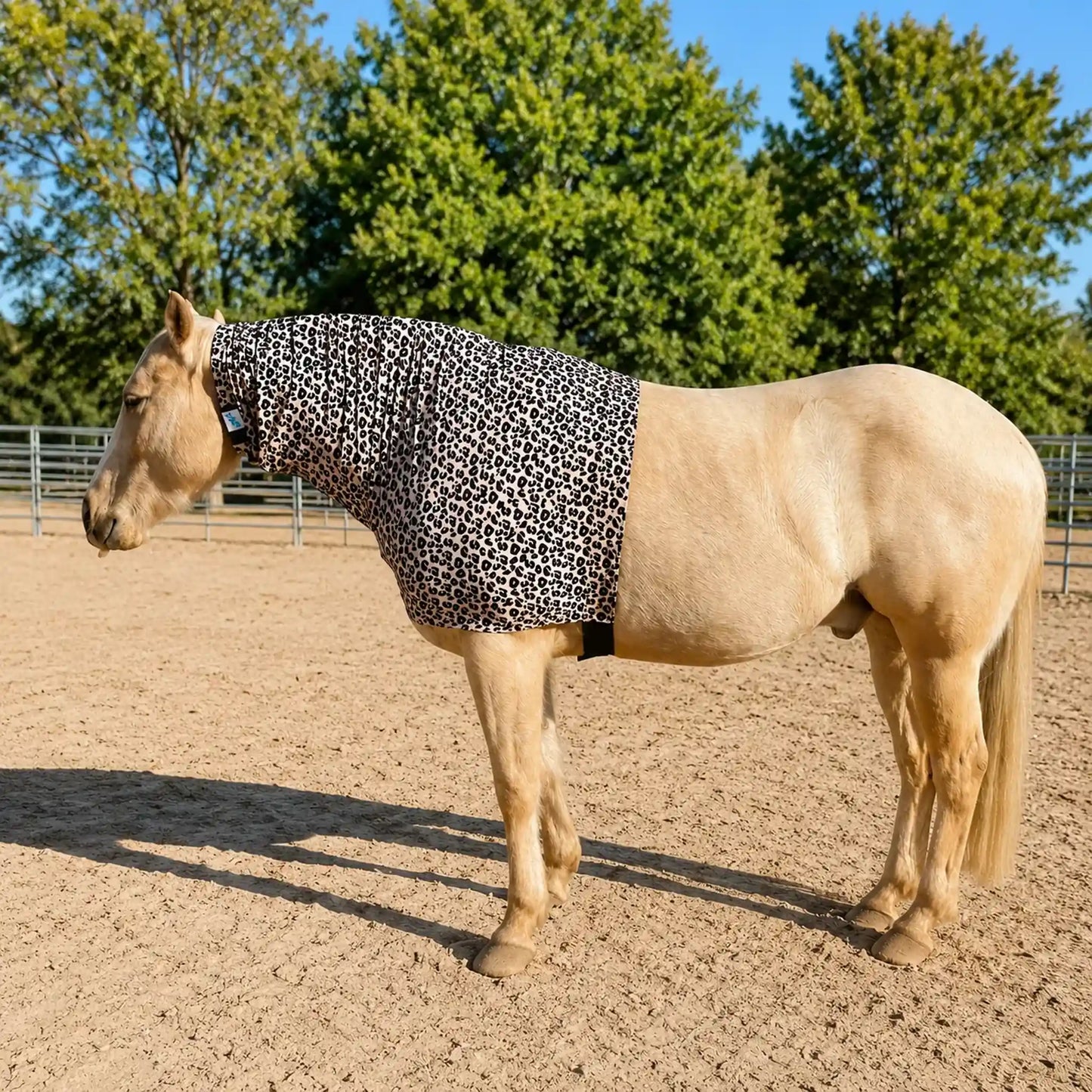 Horse wearing a print leopard faceless sleazy hood in an outdoor setting with trees in the background