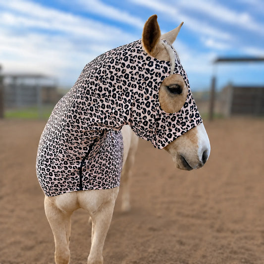 A horse wearing a fitted leopard-print horse sleazy hood, front view, photographed outdoors in a sandy arena with a blurred blue sky background.