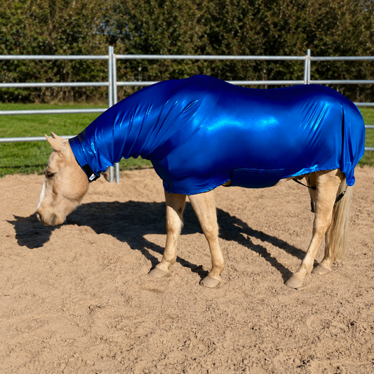 Metallic Royal Blue Faceless Full Body Sleazy