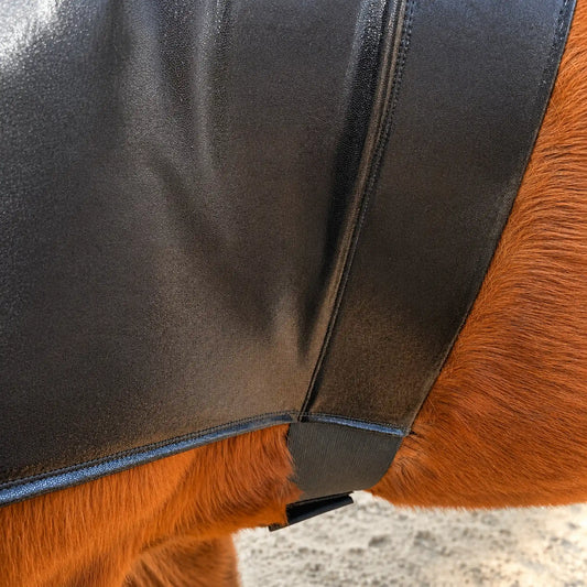Close-up of a horse wearing a shiny metallic black faceless sleazy hood showing off the belly band.