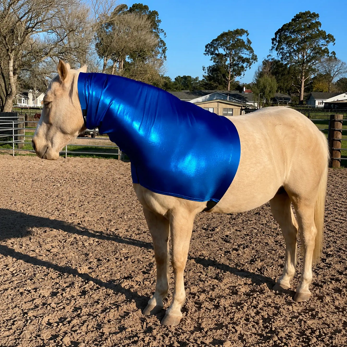 Horse wearing a metallic blue faceless sleazy hood in an outdoor setting with trees and buildings in the background