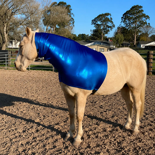Horse wearing a metallic blue faceless sleazy hood in an outdoor setting with trees and buildings in the background
