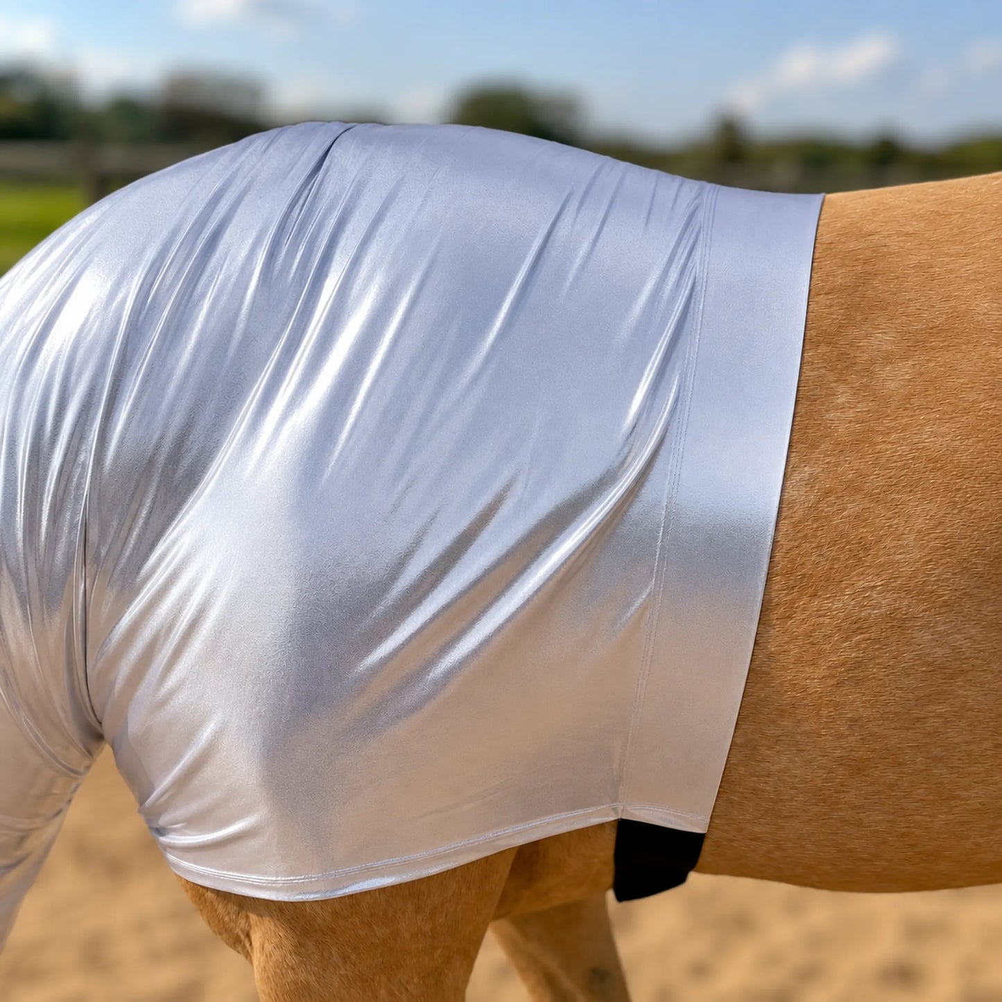 Horse wearing a metallic silver faceless hood in an outdoor setting