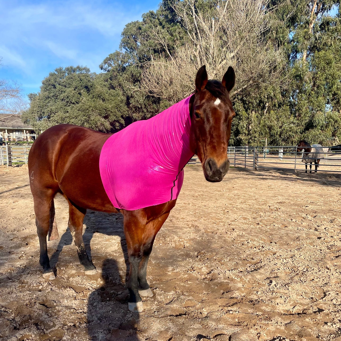 Metallic Hot Pink Faceless Sleazy Hood from www.slickhorseware.com