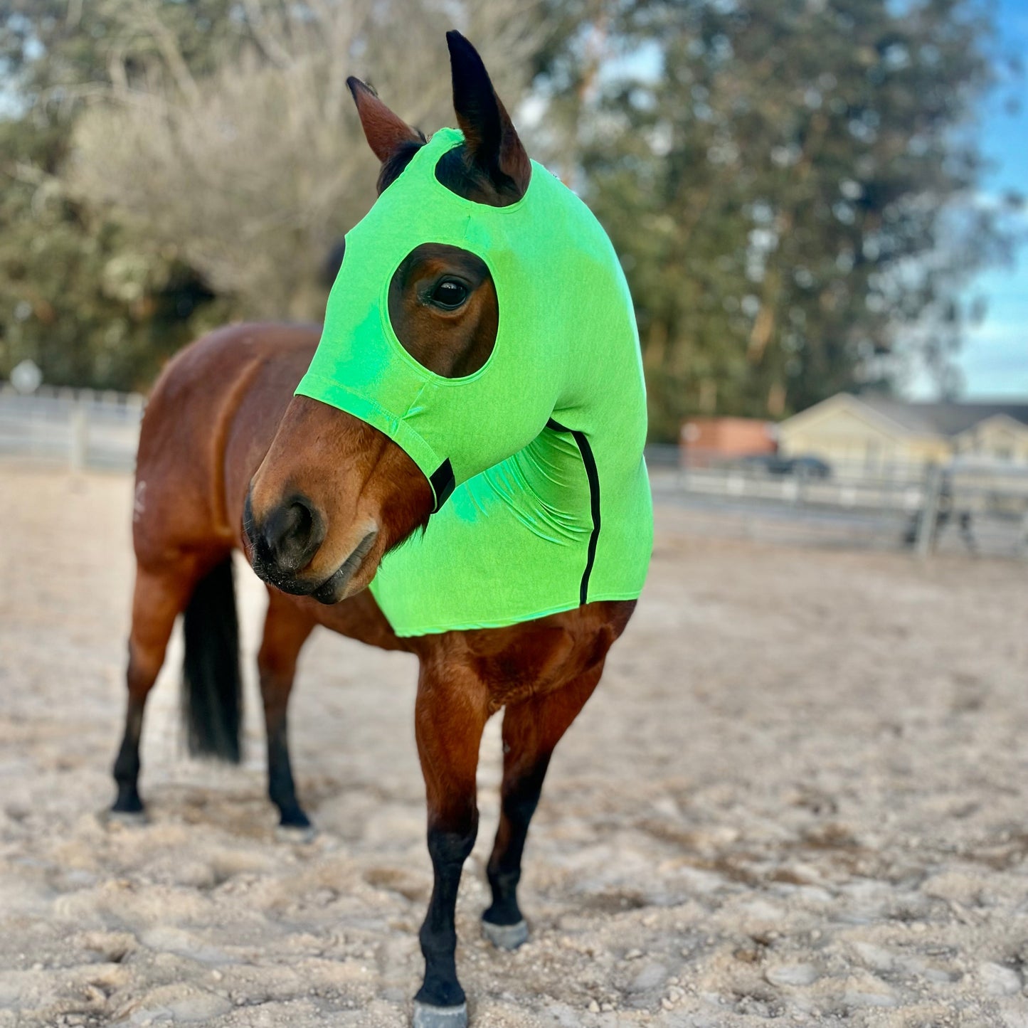 Metallic Lime Green Sleazy Hood from www.slickhorseware.com