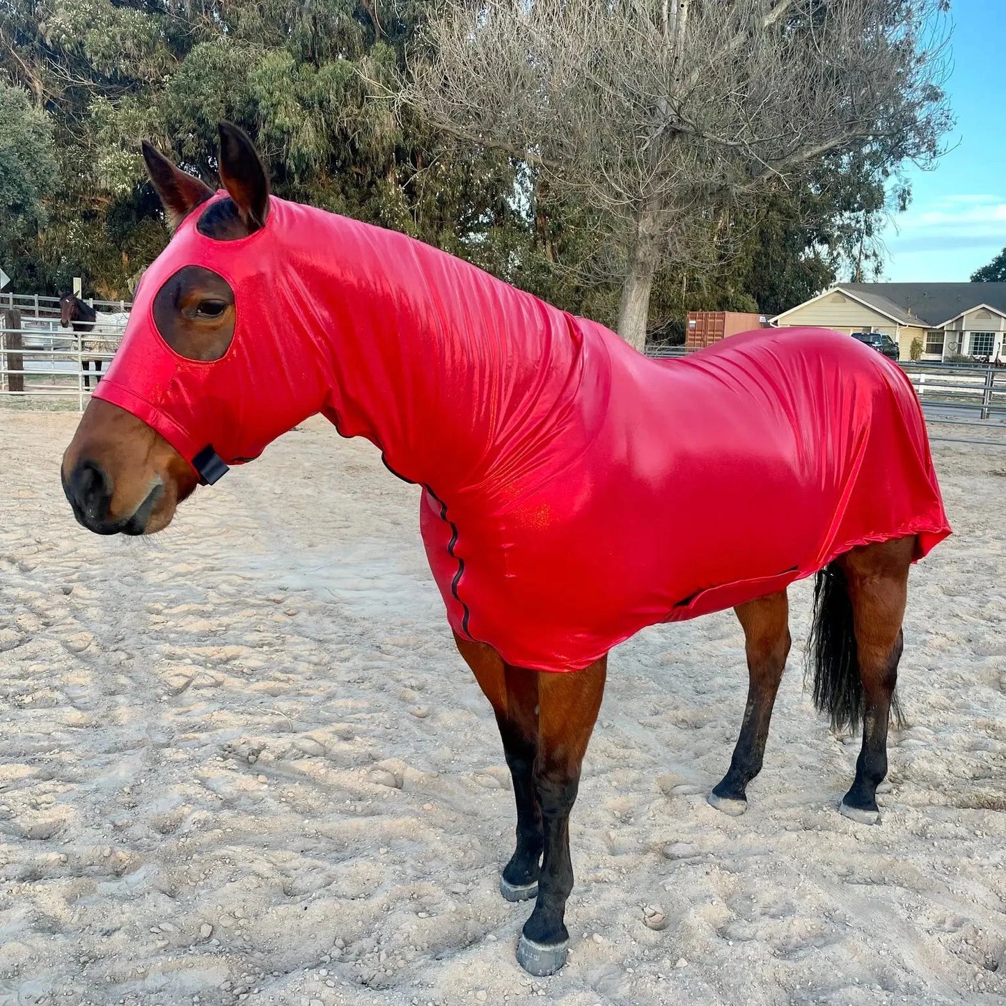 Metallic_Red_Full_Body_Sleazy_front_left from www.slickhorseware.com