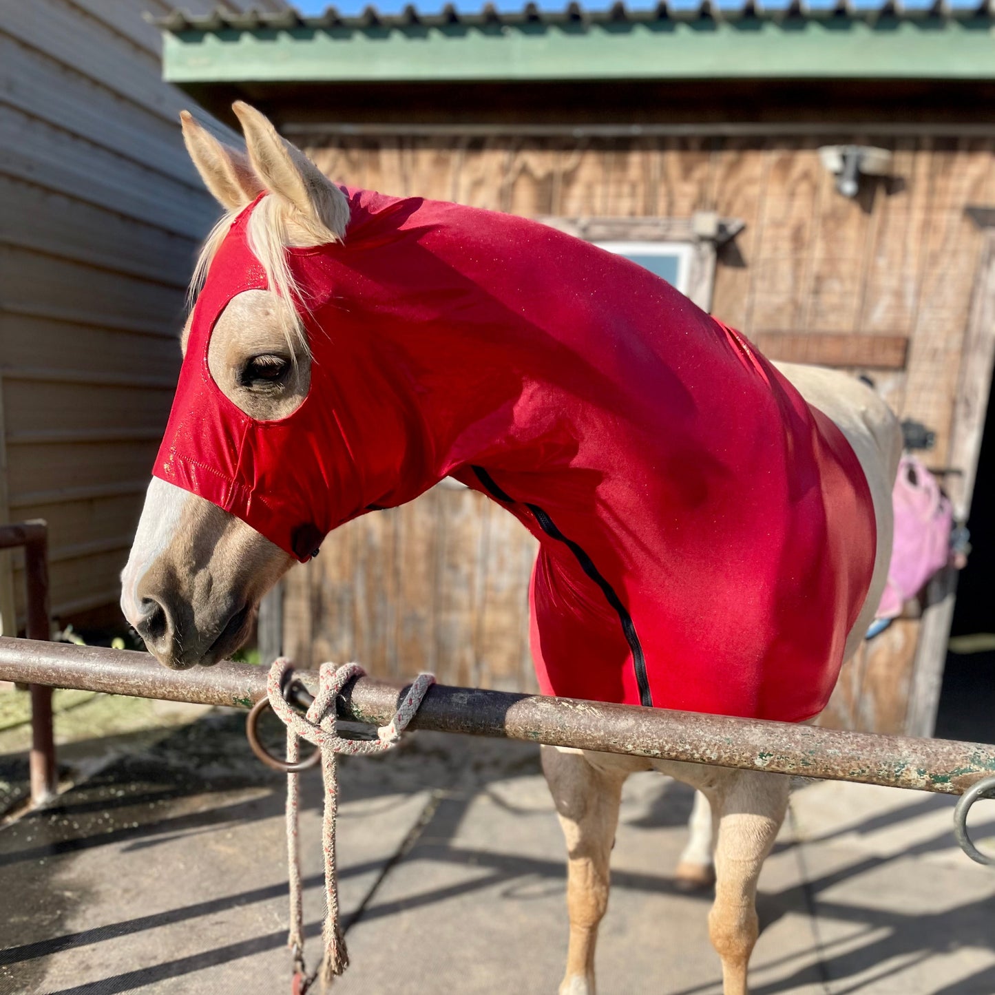 Metallic Red Sleazy Hood from www.slickhorseware.com
