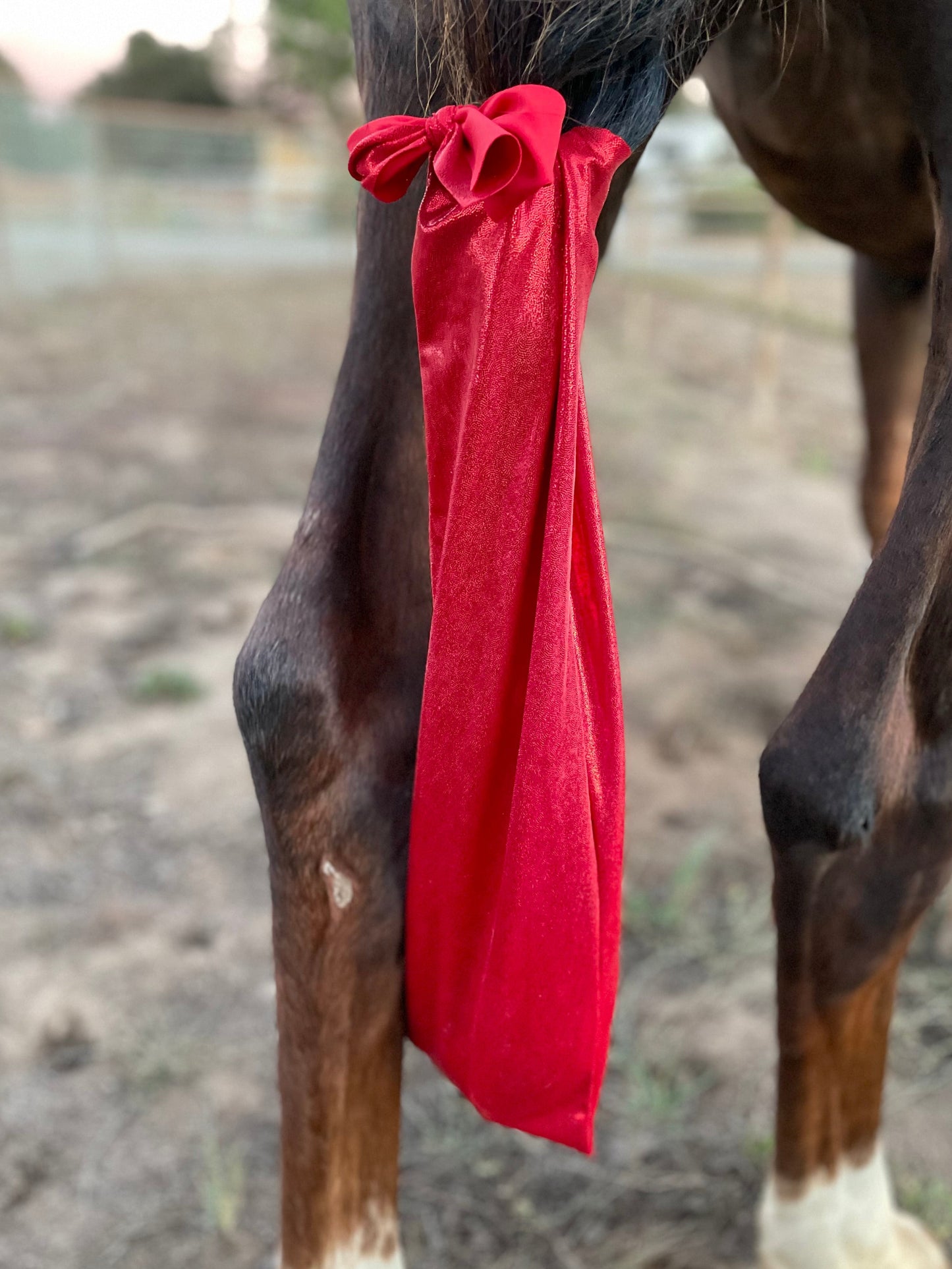 Metallic Red Tailbag from www.slickhorseware.com