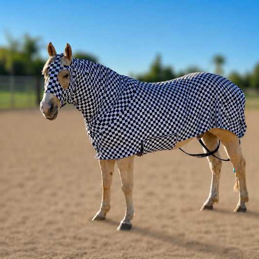 Print checkered black and white full body sleazy horse left view in arena