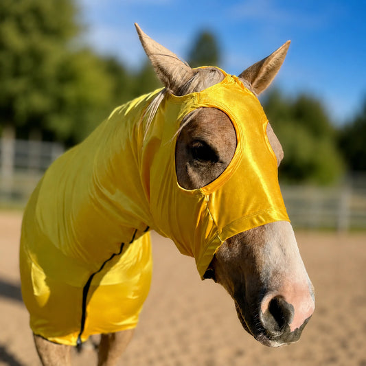 A horse wearing a shiny bright yellow full body sleazy, photographed outdoors in a sandy arena with trees and blue sky in the background.