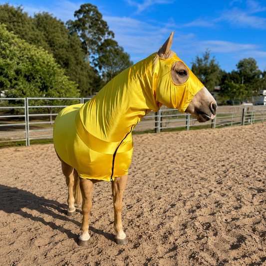 Yellow Full Body Sleazy