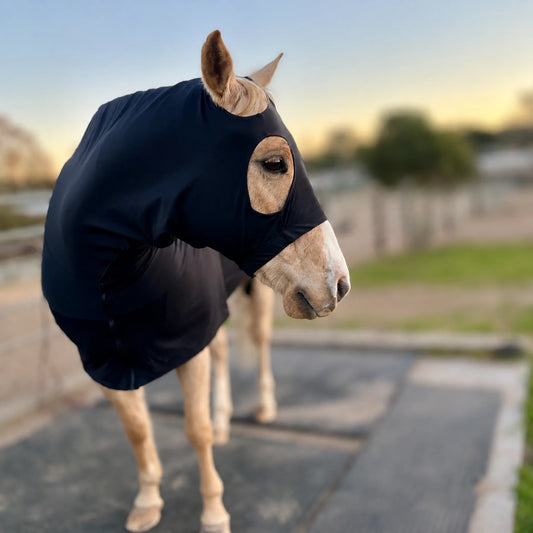 black superflex compression full body sleazy horse front view showing fit of sleazy to face and chest.