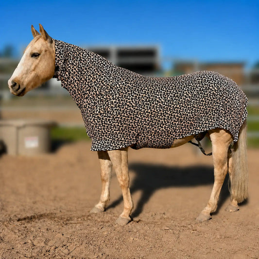 leopard faceless full body sleazy horse left view in arena