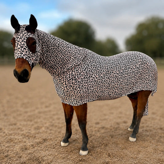 A horse wearing a fitted Leopard full body sleazy, standing in a sandy outdoor paddock.