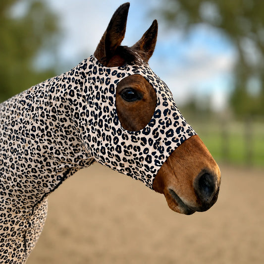 A close-up of a horse wearing a fitted leopard print pattern sleazy, photographed outdoors in a blurred arena and tree background.