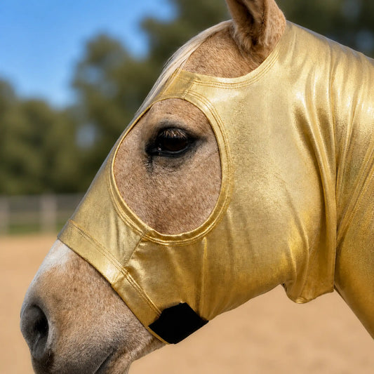 A close-up of a horse wearing a shiny metallic gold full body sleazy, with the horse's face and eye visible against a blurred outdoor background of trees and sky.