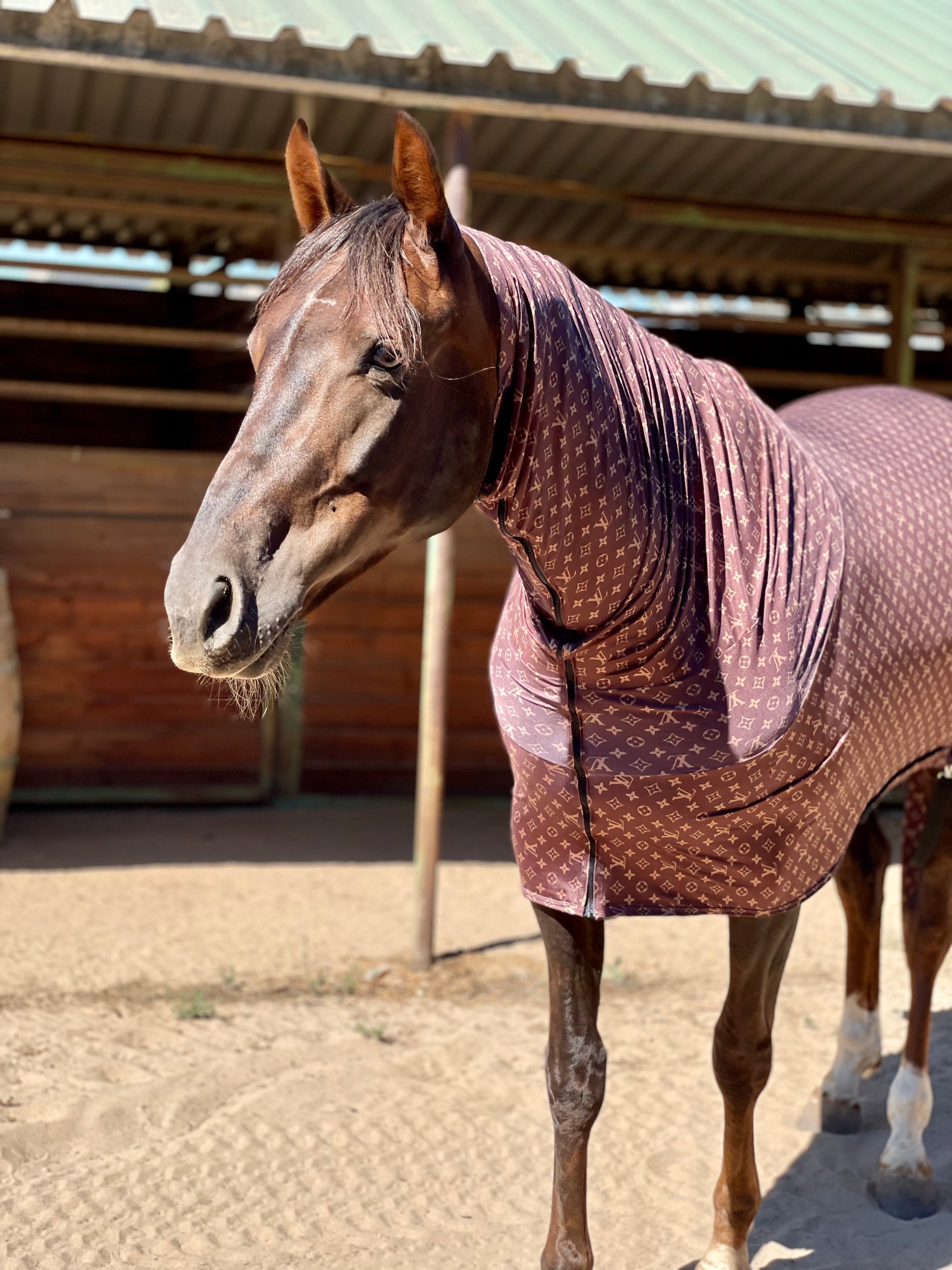 Body Chaud Horseware Pour Cheval – Taille 14 – Occasion Neuve Avec Défaut