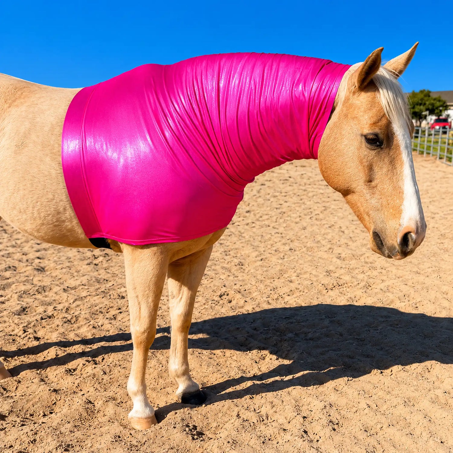 Faceless Hood Sleazy by slickhorseware