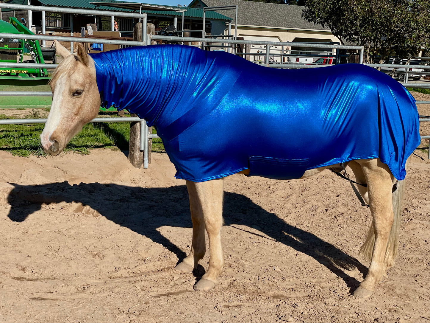 Metallic Royal Blue Faceless Full Body Sleazy