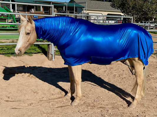 Metallic Royal Blue Faceless Full Body Sleazy