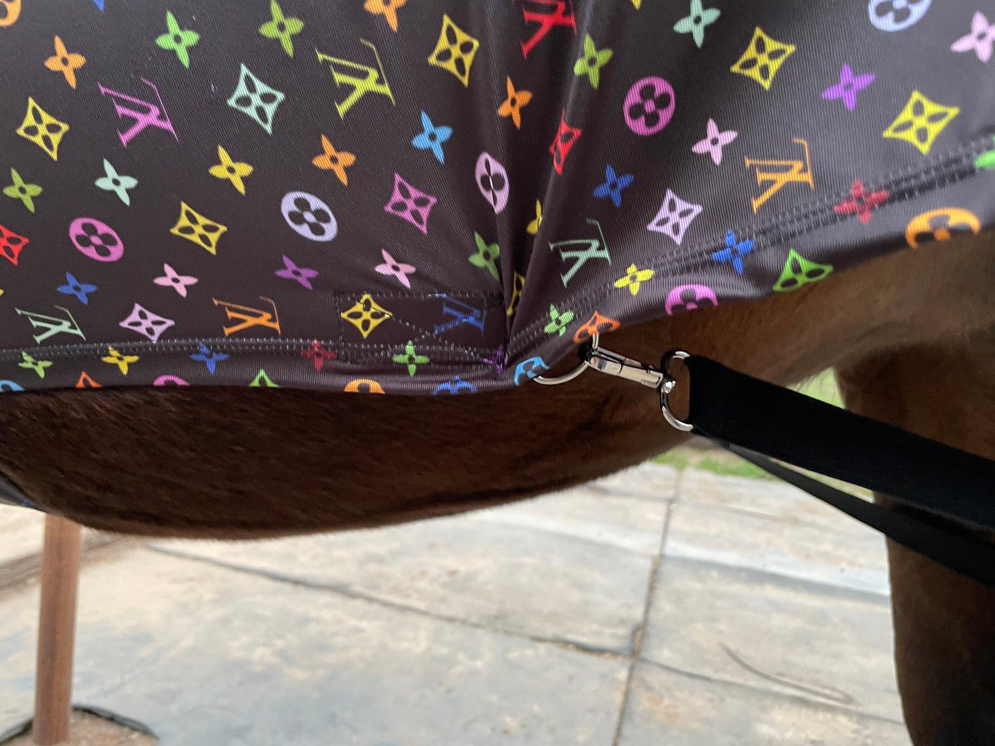 LV in Color Full Body Sleazy