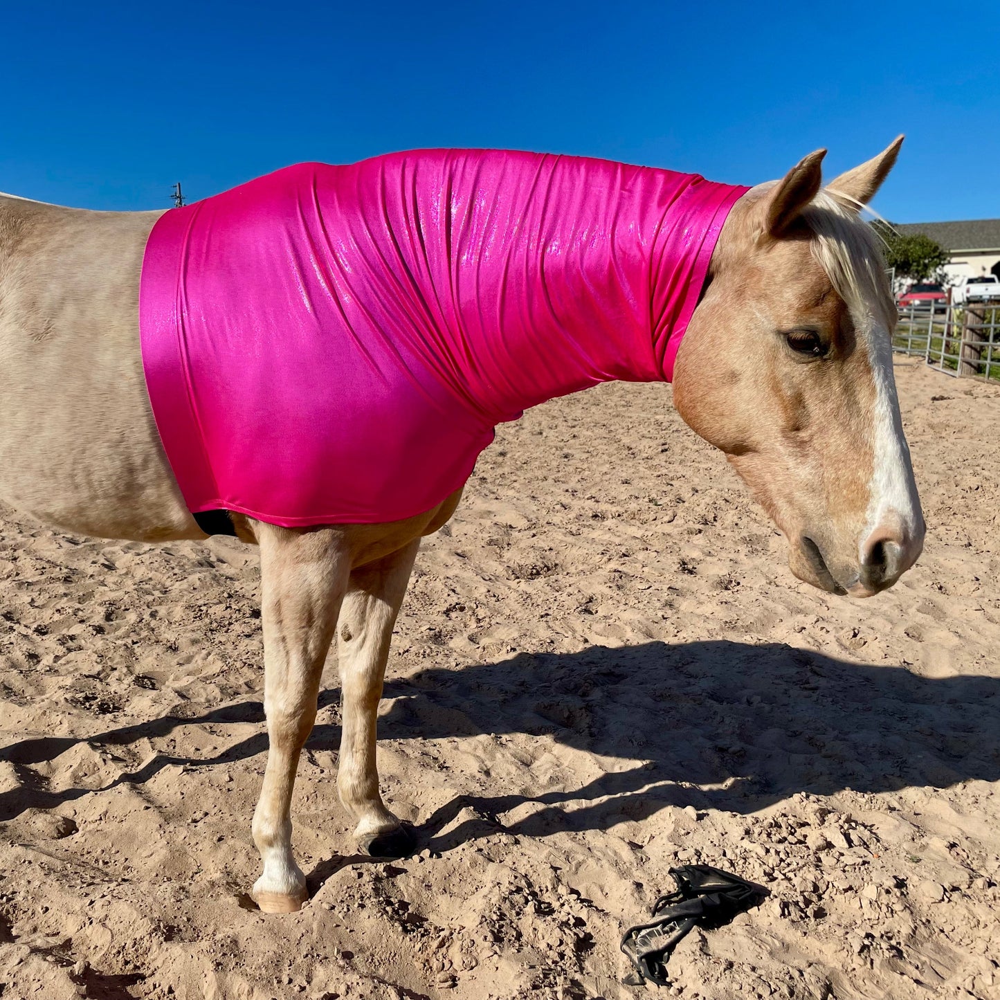 Metallic Hot Pink Faceless Hood Sleazy