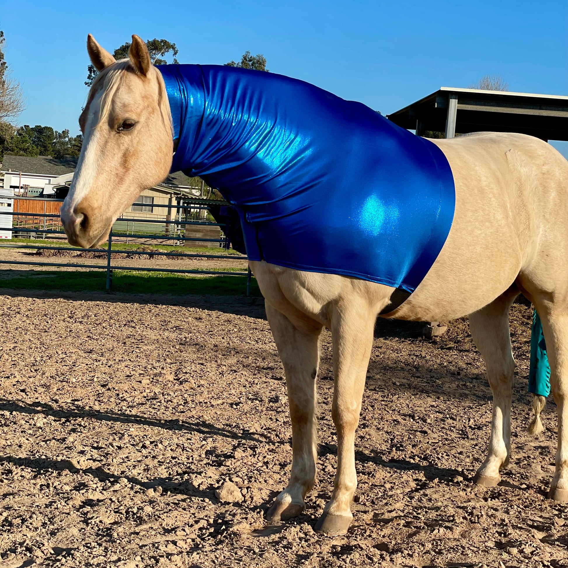 Metallic royal blue faceless hood by slickhorseware.com