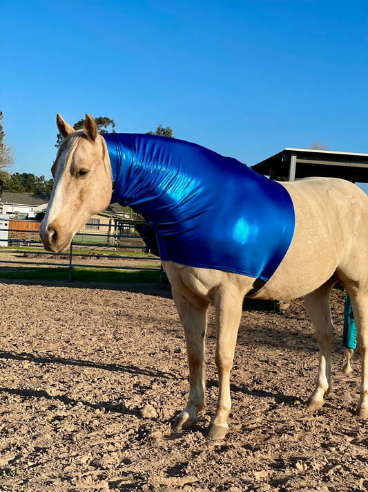 Metallic Royal Blue Faceless Hood Sleazy