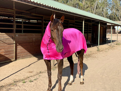 Metallic Hot Pink Faceless Full Body Sleazy