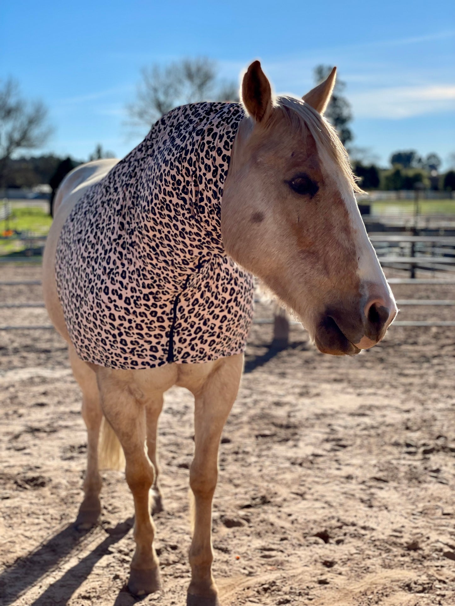 Leopard Faceless Hood Sleazy