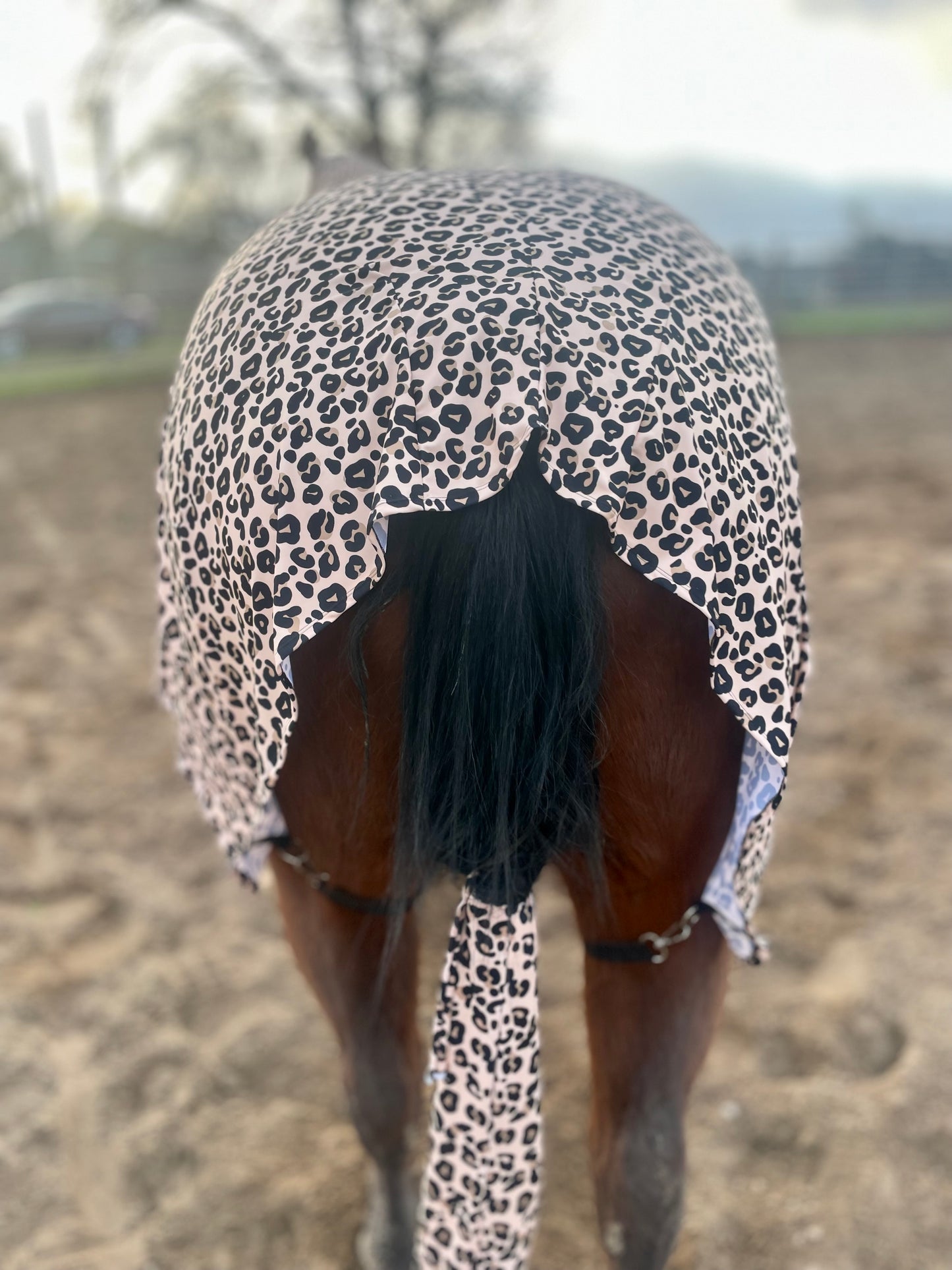 Leopard Full Body Sleazy
