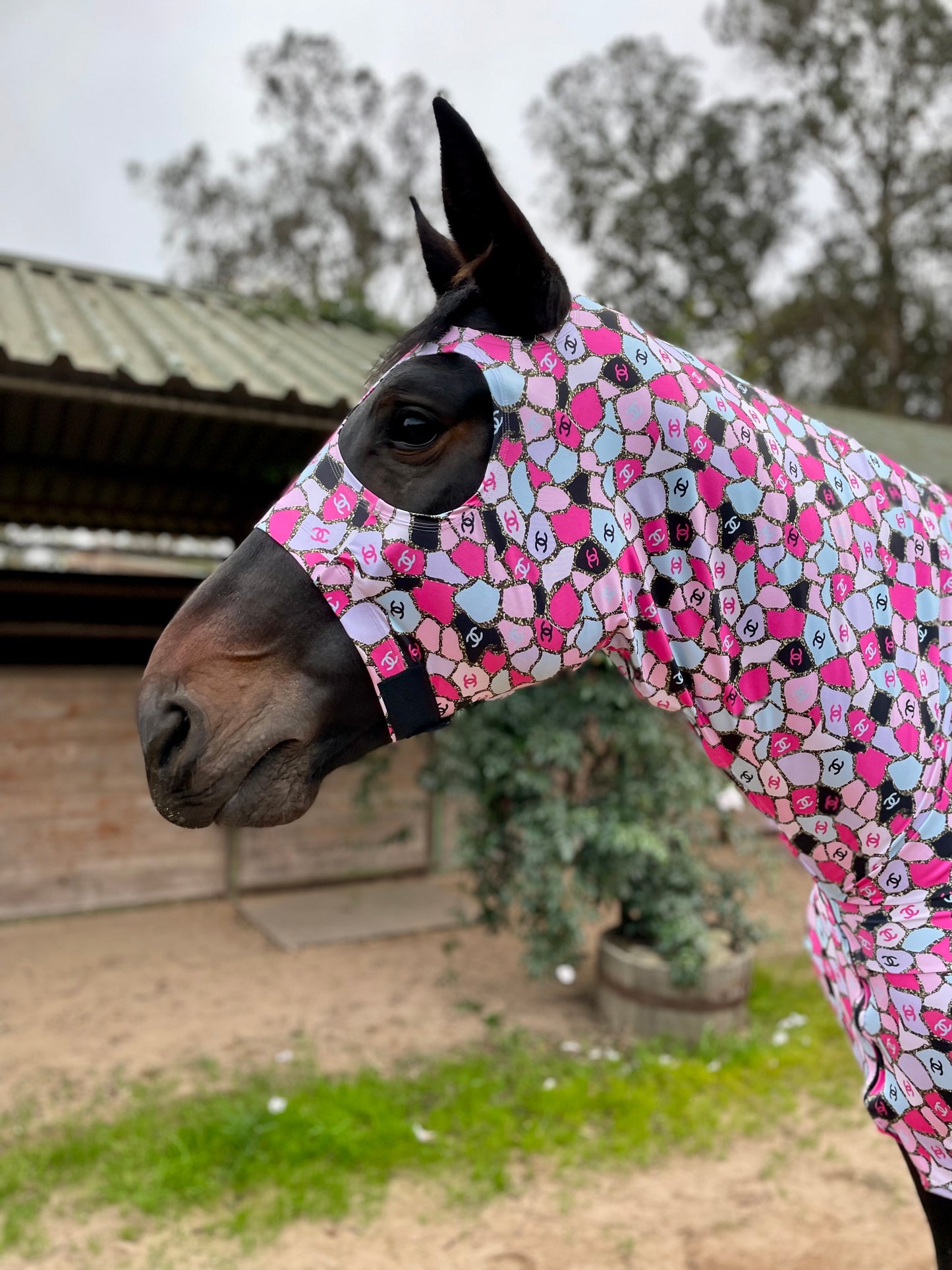 Pink Coco Full Body Sleazy