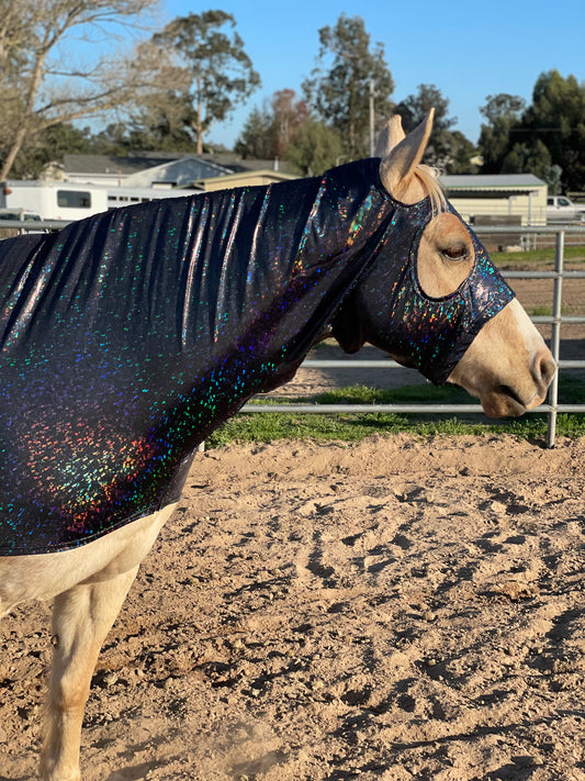 Hologram Black Hood Sleazy