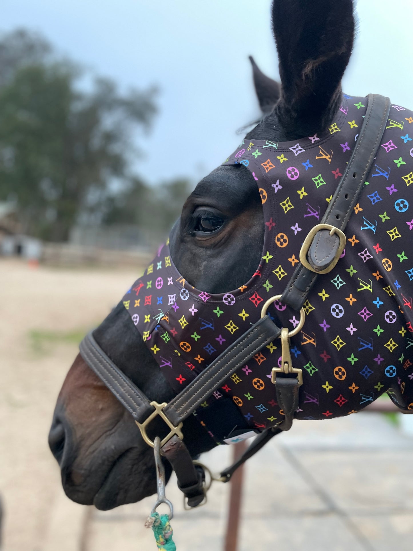 LV in Color Sleazy Hood