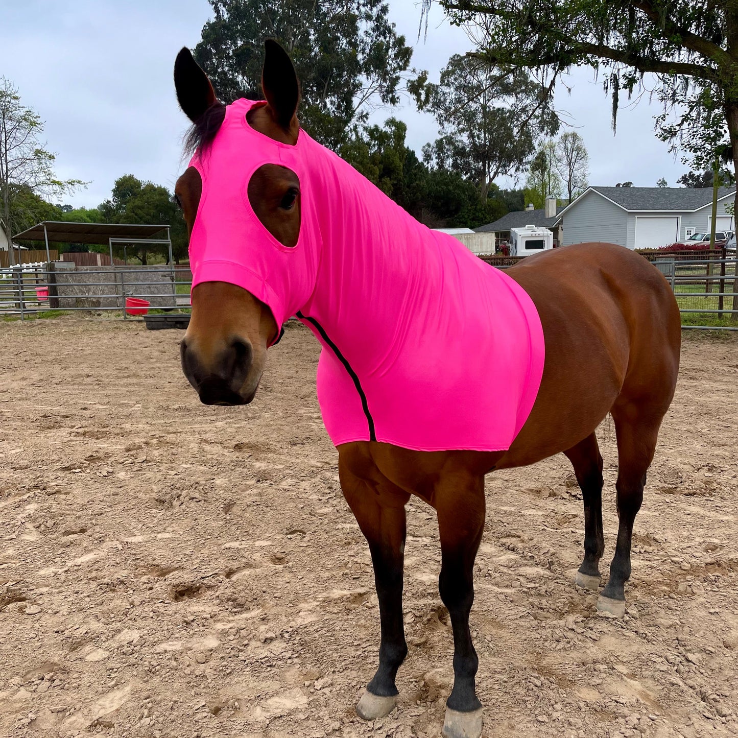 Metallic Hot Pink Sleazy Hood