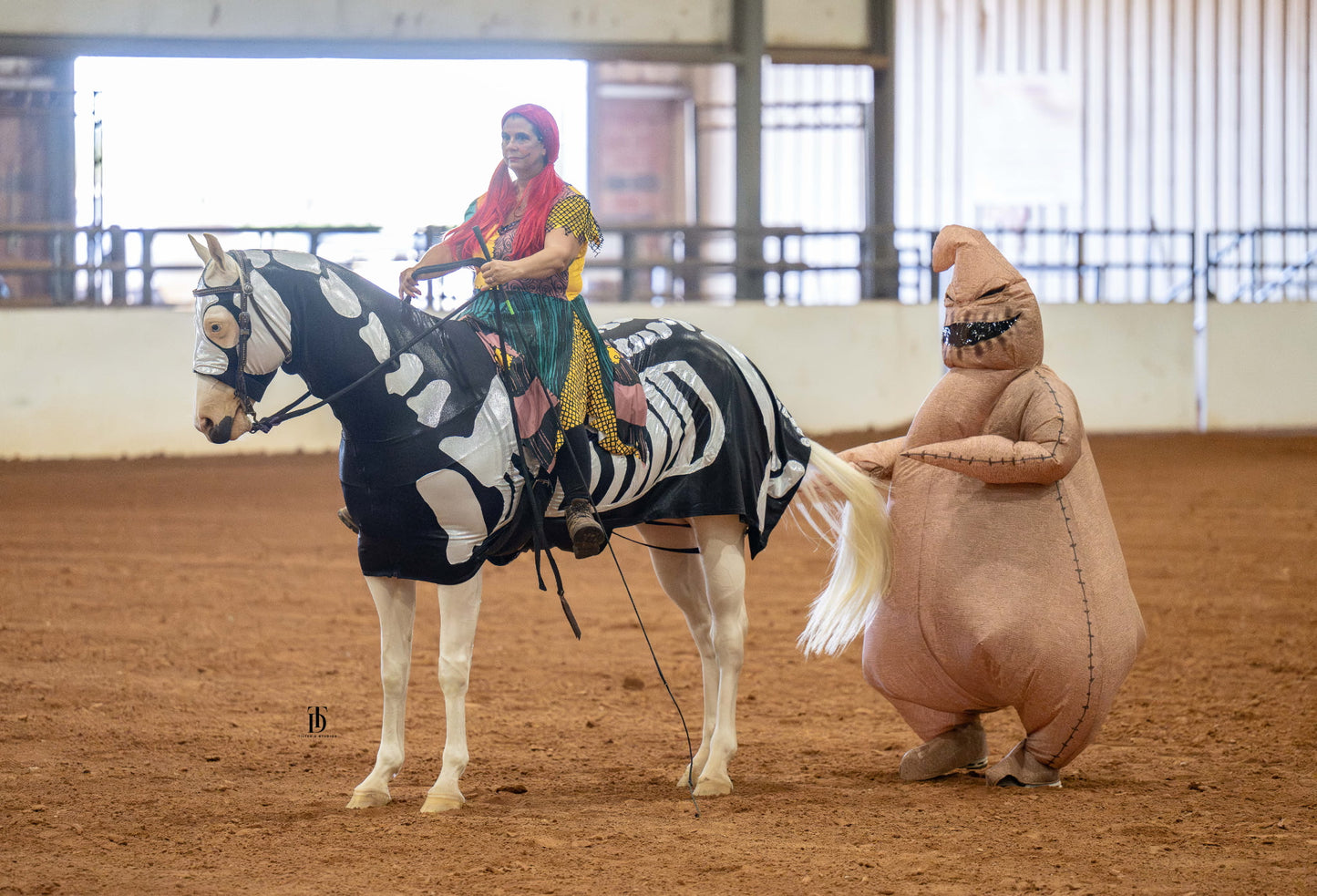 Skeleton Full Body Horse Costume