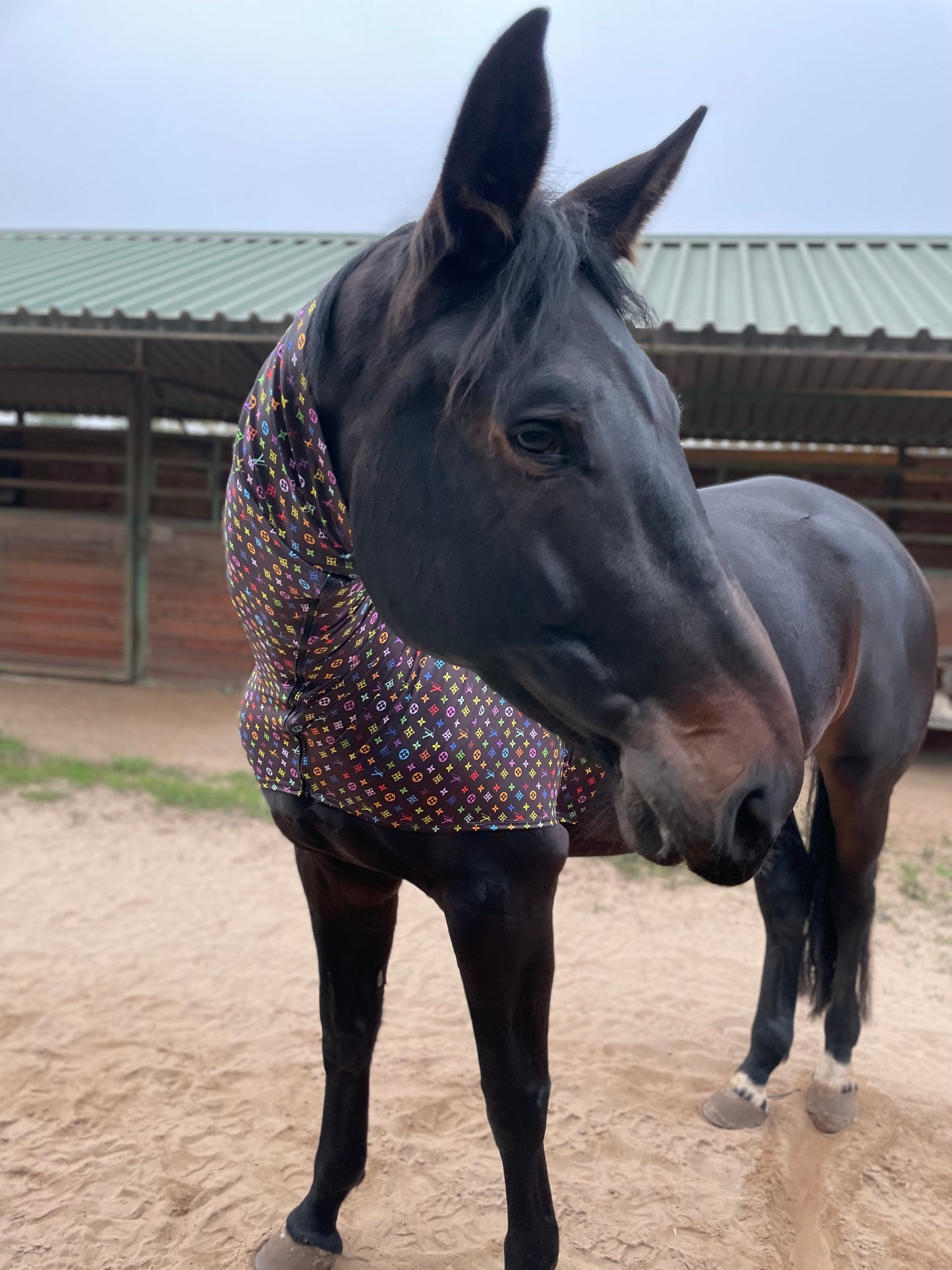 LV in Color Faceless Sleazy Hood