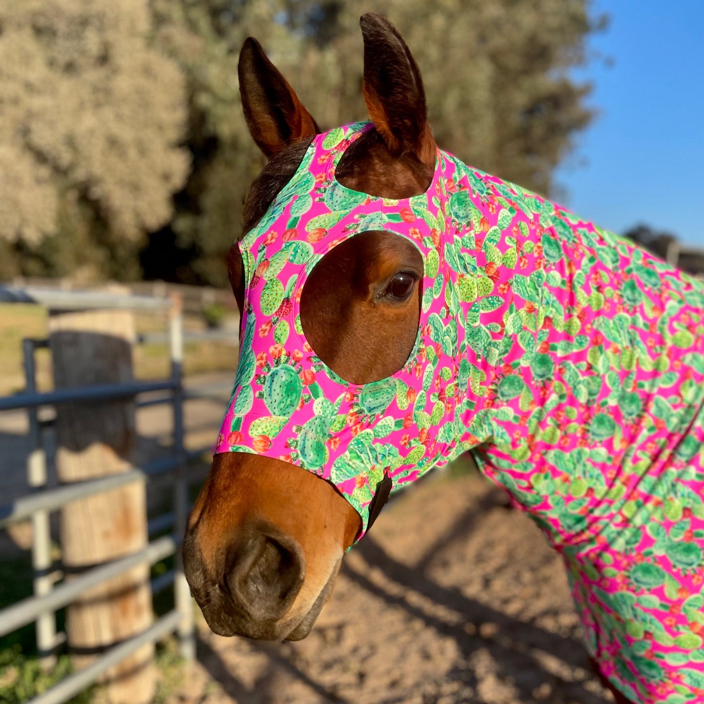 Pink Cactus Full Body Sleazy