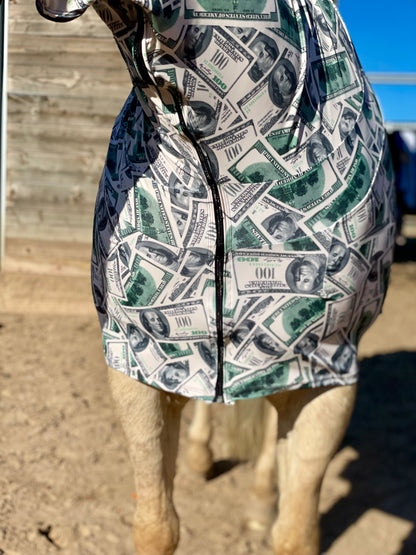 Money Full Body Sleazy