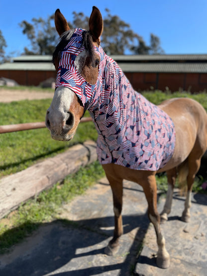 Stars and Stripes Sleazy Hood