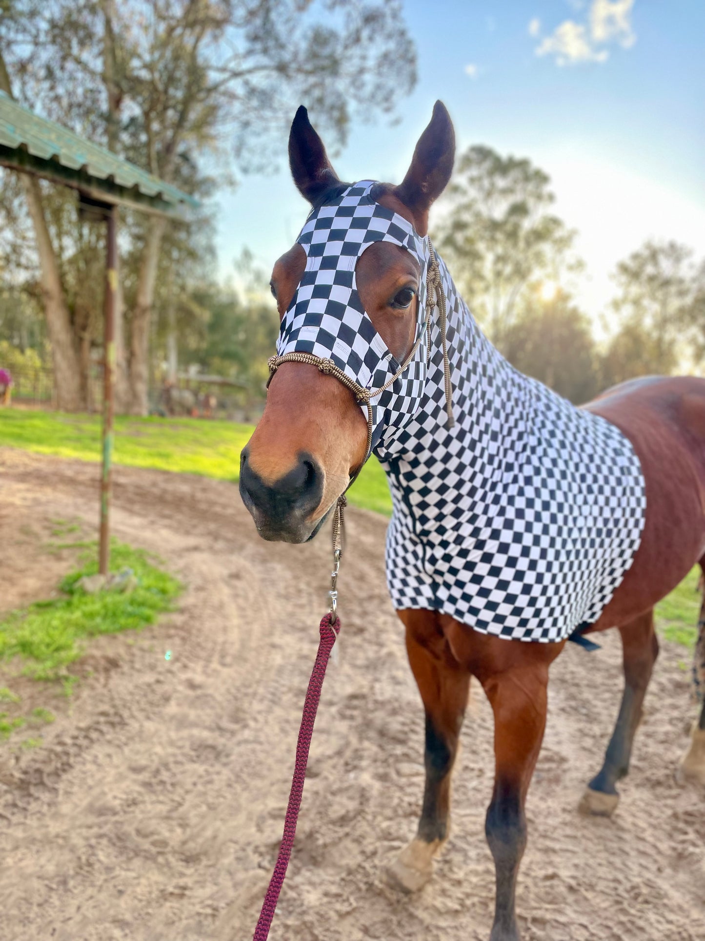 Checkered Sleazy Hood
