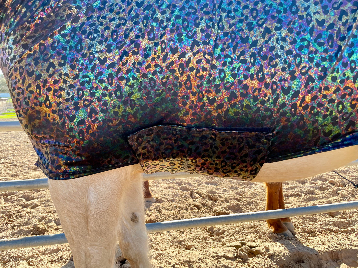 Hologram Leopard Faceless Full Body Sleazy